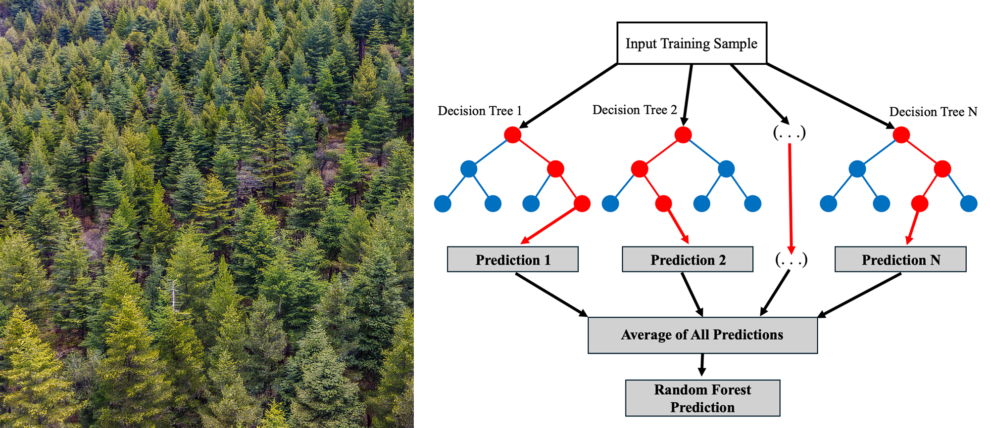 Illustration of a random forest model consisting of N number of decision trees, with each tree consisting of M number of branches (or nodes), similar to how a forest consists of many trees and each tree consists of many branches. The nodes within each decision tree are used to make a prediction, and all of the predictions are averaged together to produce a final result. The red path taken in each decision tree is where specific criteria are met that result in a prediction. Image credit: Brett Addison.